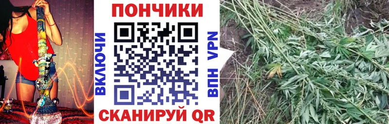 Наркошоп Вольск Псилоцибиновые грибы  blacksprut tor  ГАШИШ  Меф  Конопля  Cocaine 