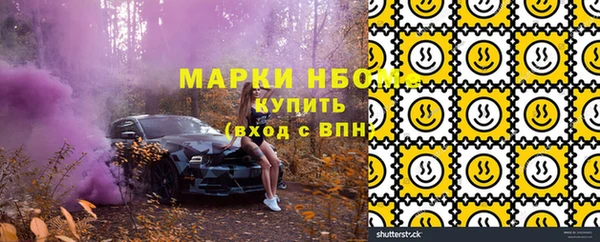 мет Бородино