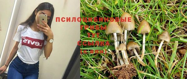 соль курить ск Бронницы