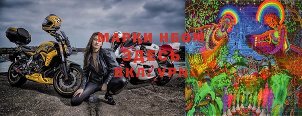 PSILOCYBIN Бугульма