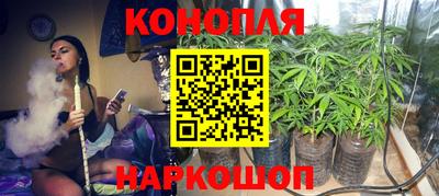 прущие крисы Кунгур