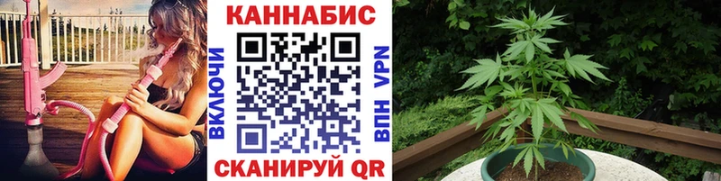 Бошки марихуана семена  Вольск 