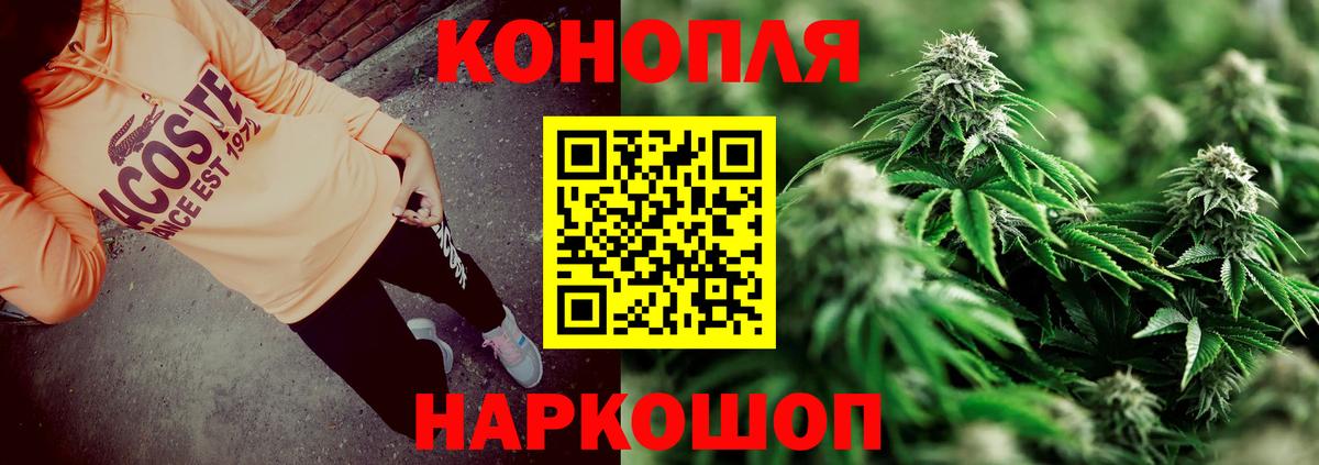 Конопля планчик  Марихуана семена  Бошки Шишки Amnesia  Вольск  Вход с VPN 